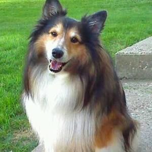 Meet your Posher, Sherri